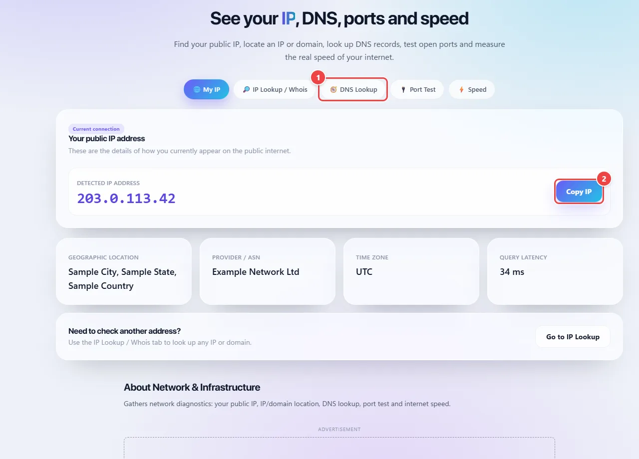 WebFaz Network and Infrastructure with the My IP, IP Lookup / Whois, DNS Lookup, Port Test and Speed tabs, and the detected public IP address with the Copy IP button.