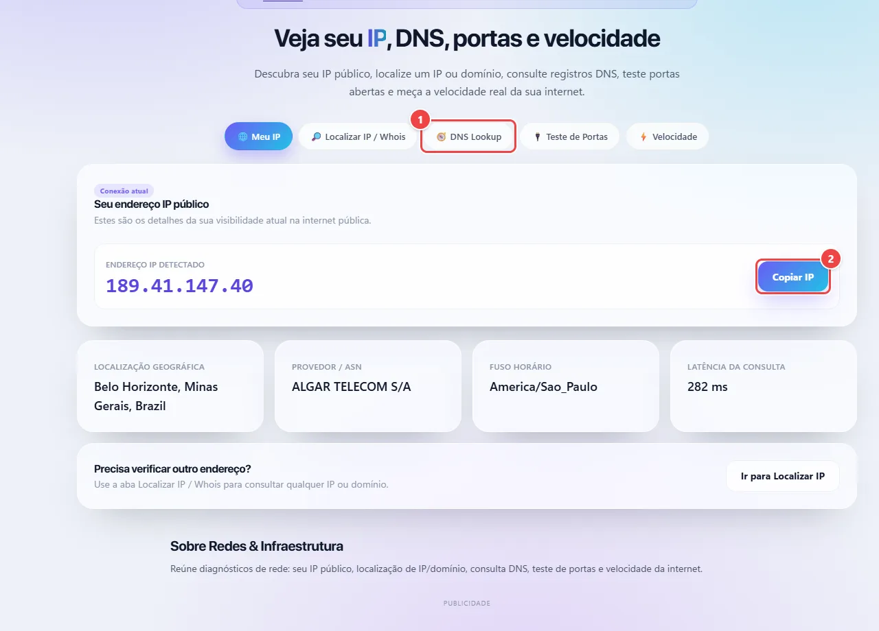 Redes e Infraestrutura do WebFaz com as abas Meu IP, Localizar IP e Whois, DNS Lookup, Teste de Portas e Velocidade, e o endereço IP público detectado com o botão Copiar IP.