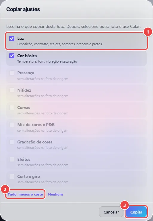 Janela Copiar ajustes do WebFaz Studio com a lista de grupos: Luz e Cor básica marcados, os demais sem alterações, e o corte desmarcado.